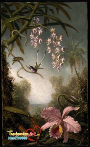 MJ_Heade_Orchids_and_Spray_Orchids_with_Hummingbird (1)